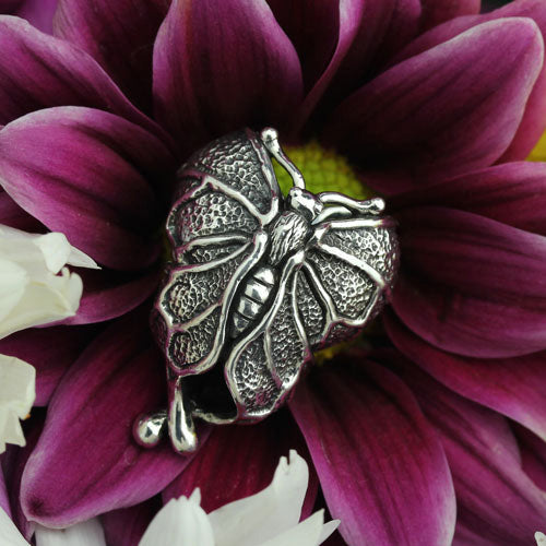 Wings Of Protection