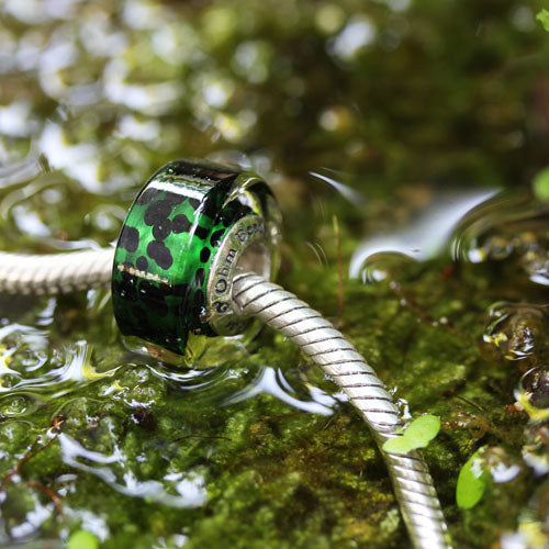 Frog Fantasticism (Retired)