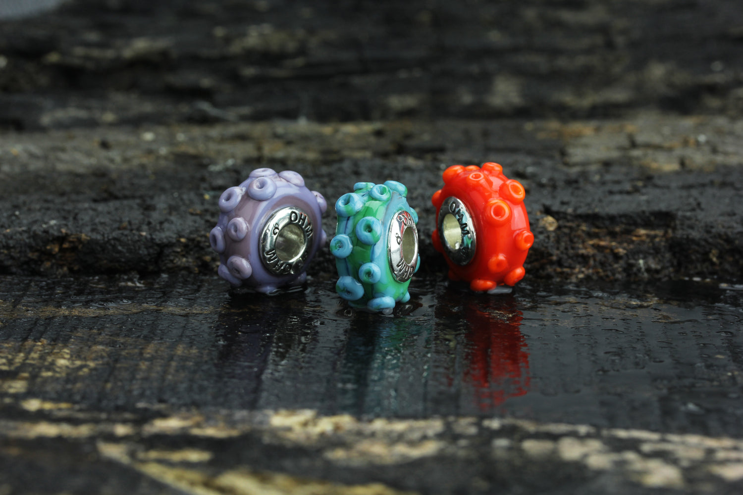 Collection: Suckers