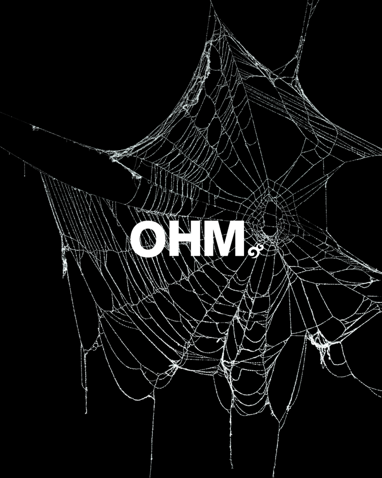 Arachnid
