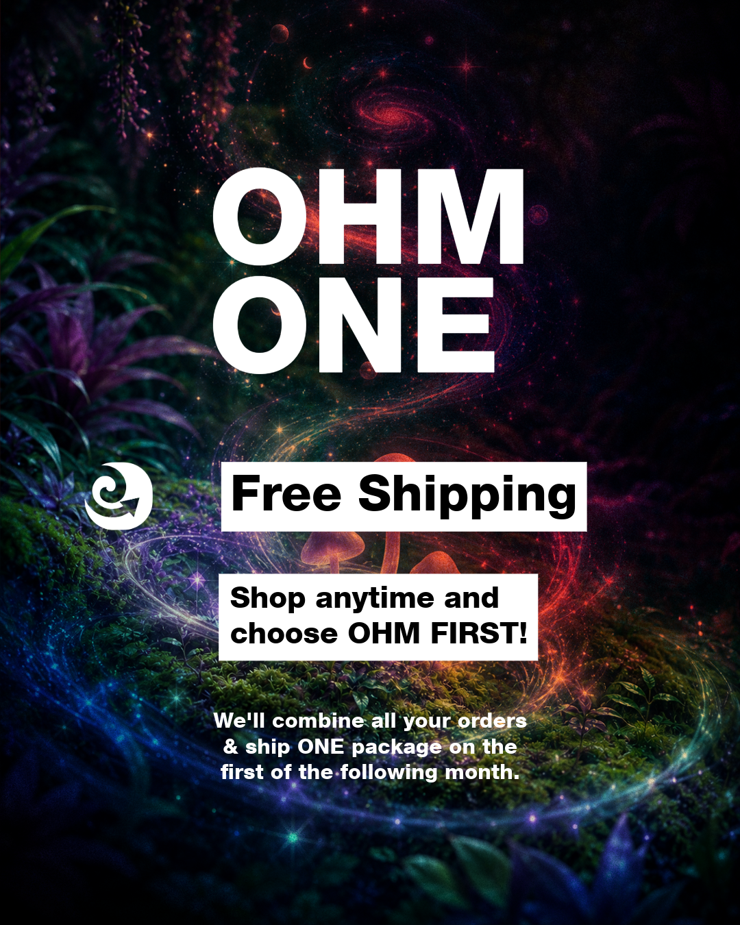 OHM ONE (Annual Subscription)