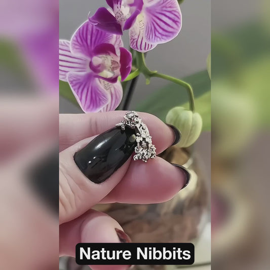 Nature Nibbits