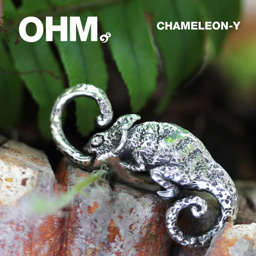 Chameleon-y